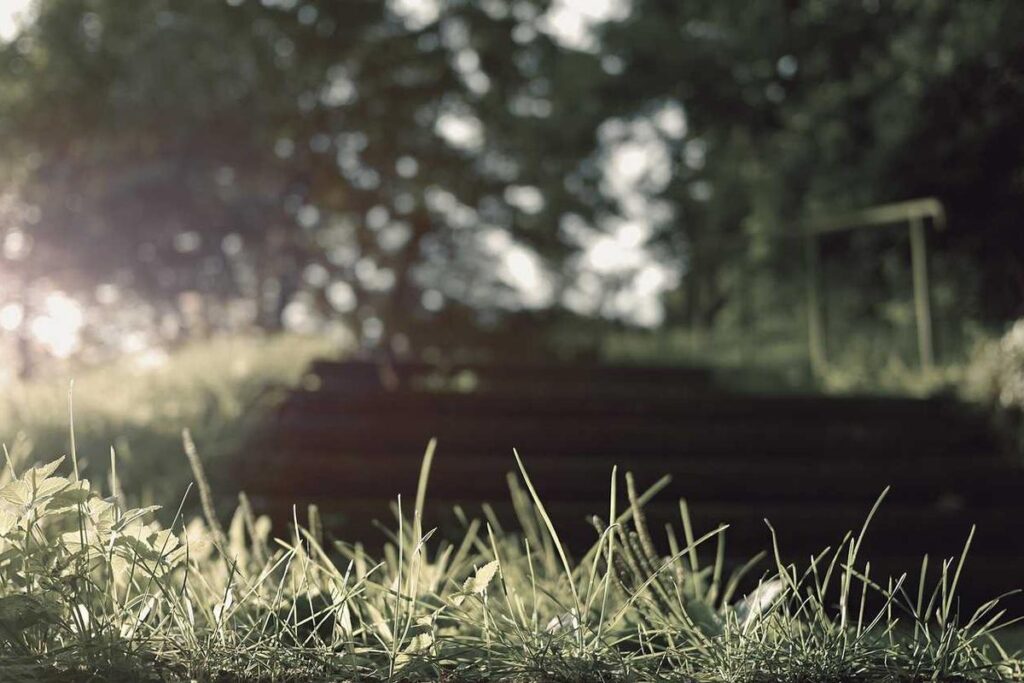 Central Bank holds key rate at 27.5%, signals tight stance